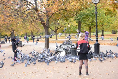 DSC_0625 (Large).JPG